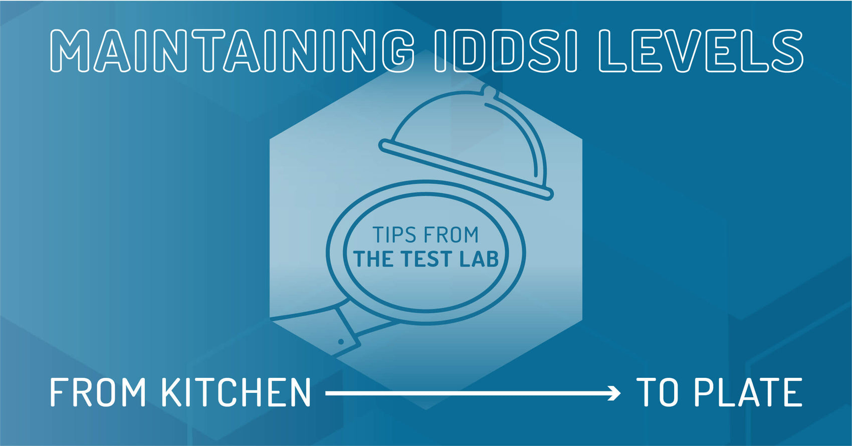 Maintaining IDDSI Levels: From Kitchen to Plate